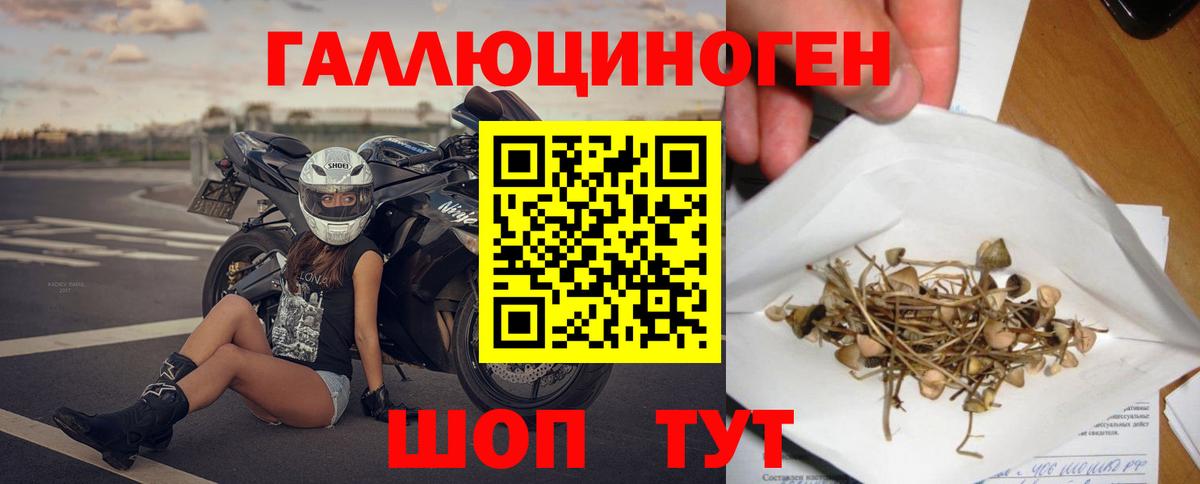 Псилоцибиновые грибы Psilocybine cubensis Корсаков