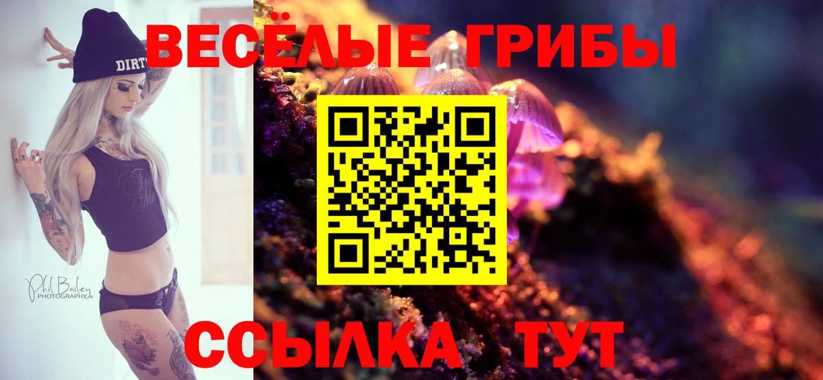 Галлюциногенные грибы мухоморы  Вход с VPN  Корсаков 